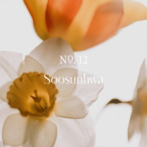 加購【韓國 HETRAS】飯店療癒身體乳單瓶 - #12水仙花