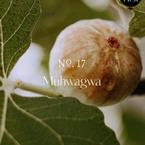 加購【韓國 HETRAS】芒果籽保濕香氛護手霜單條 - #17無花果