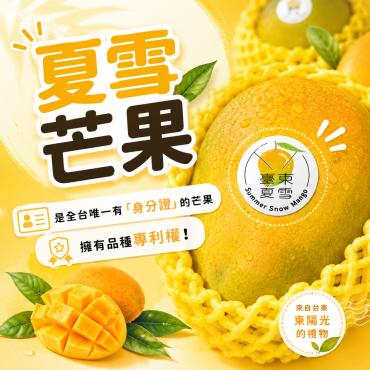 【山漾】夏雪芒果禮盒（2.5kg/箱）