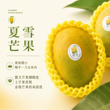 【山漾】夏雪芒果禮盒（2.5kg/箱）