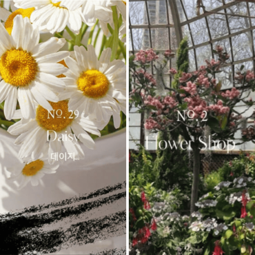 天祐獨家【韓國 HETRAS】首席調香師擴香2盒組（500ml/瓶）規格任選