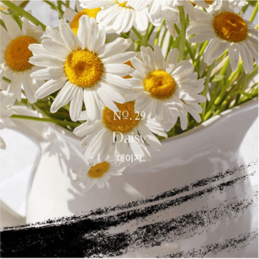 加購【韓國 HETRAS】首席調香師擴香2入組（500ml/瓶）#29小雛菊