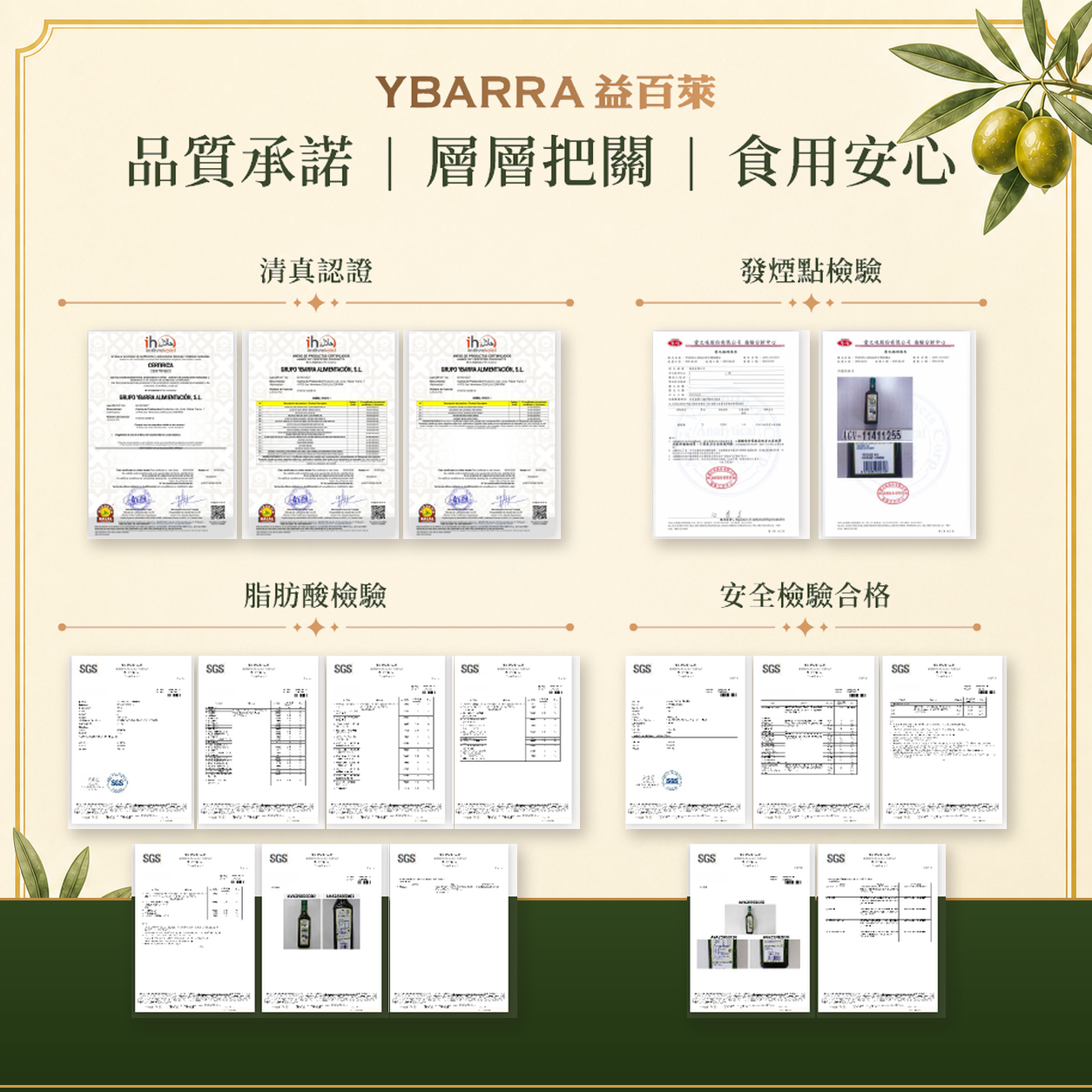 YBARRA益百萊特級初榨橄欖油西班牙安達盧西亞產區採收、低溫冷壓、過濾與裝瓶流程