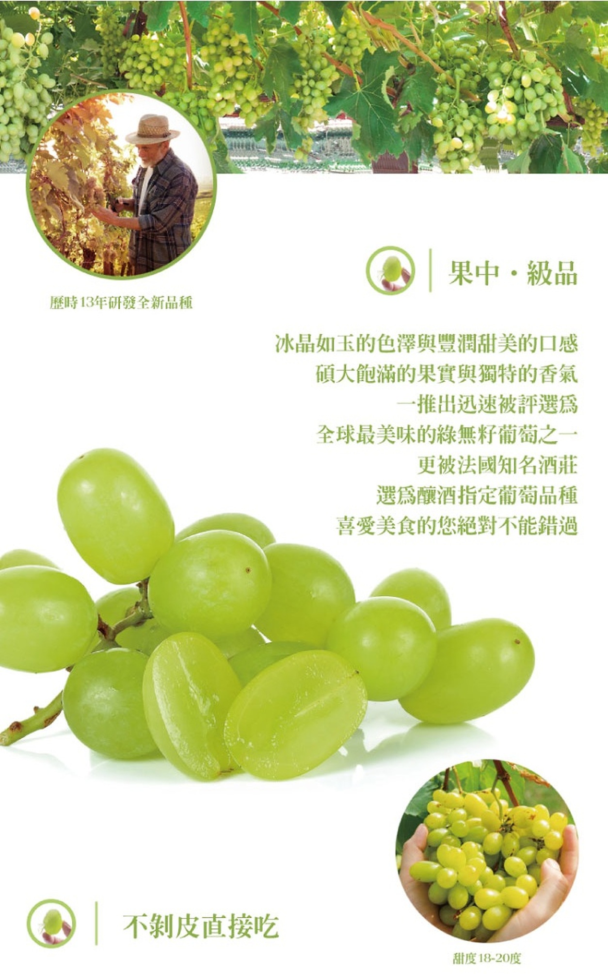 綠精靈香水葡萄果粒質感介紹,展示葡萄藤、農場採收情境、果粒切面與綠葡萄近拍。
