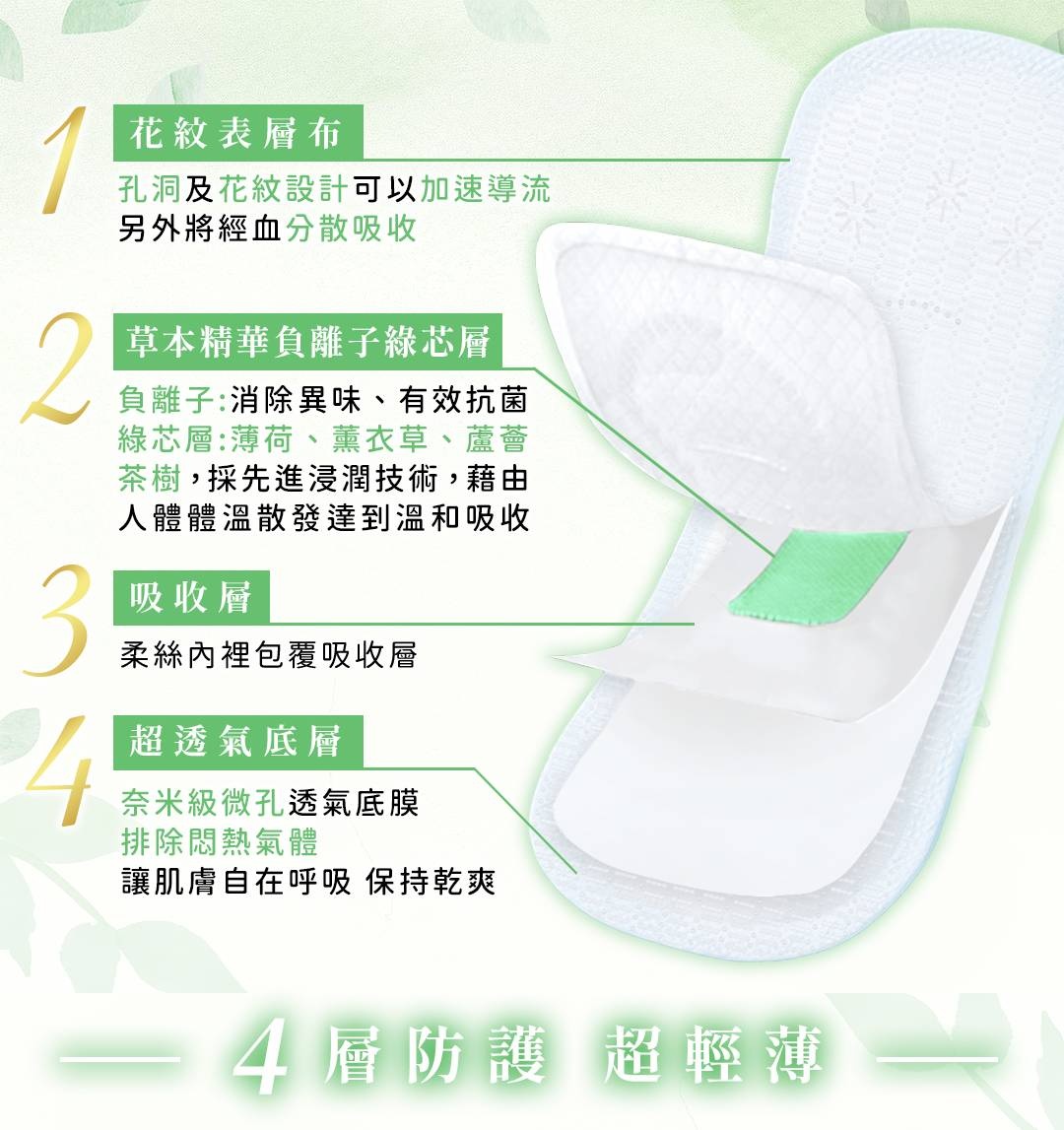 寶貝妮草本精華護墊表層綠芯吸收層與透氣底膜四層結構示意