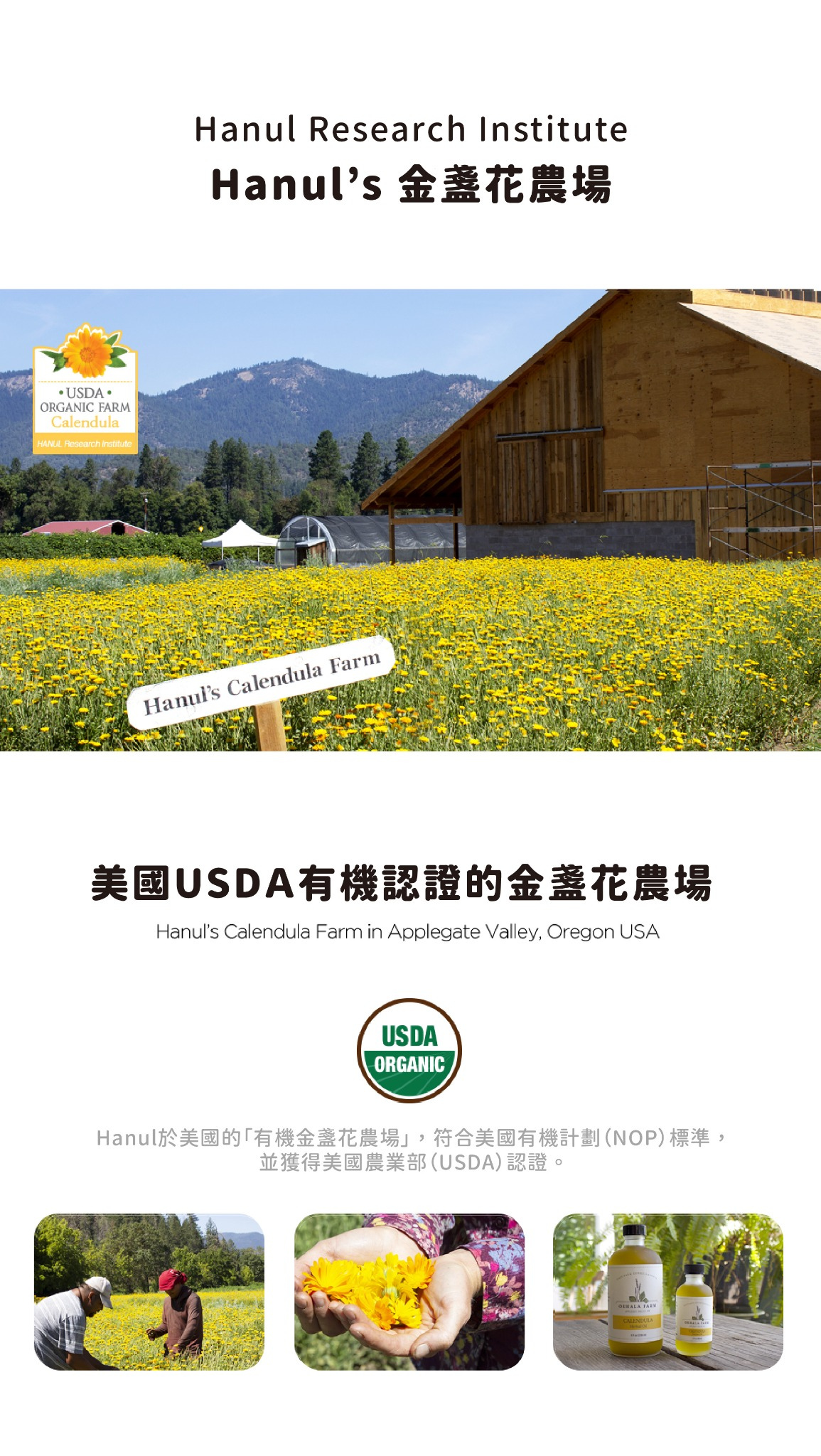 RICOBaby金盞花濕紙巾金盞花農場與原料來源介紹