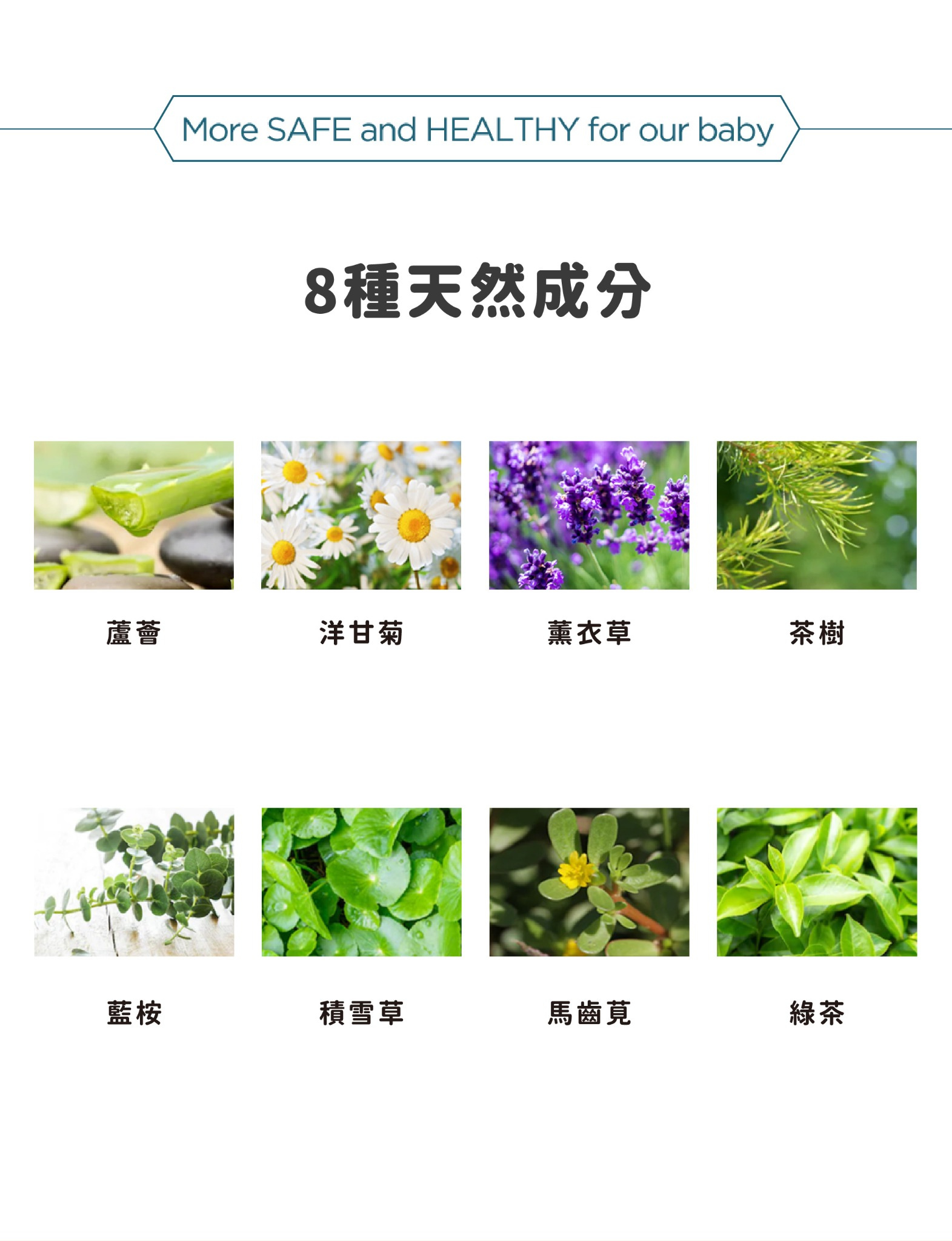 RICOBaby金盞花濕紙巾植物來源成分資訊介紹
